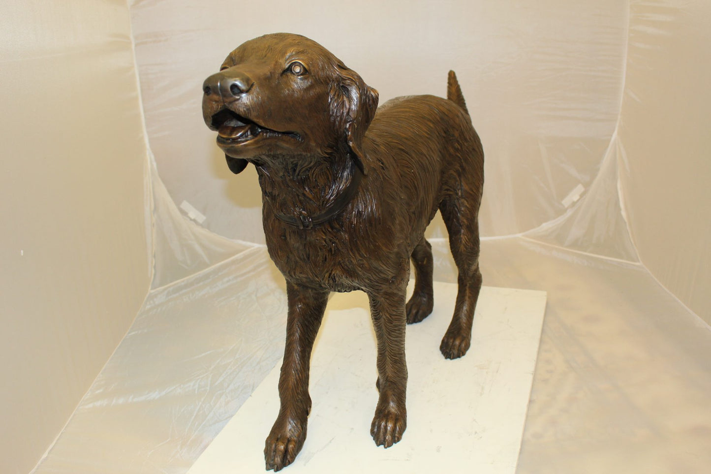 Golden retriever dog standing - Bronze Statue -  Size: 44"L x 10"W x 27"H. 