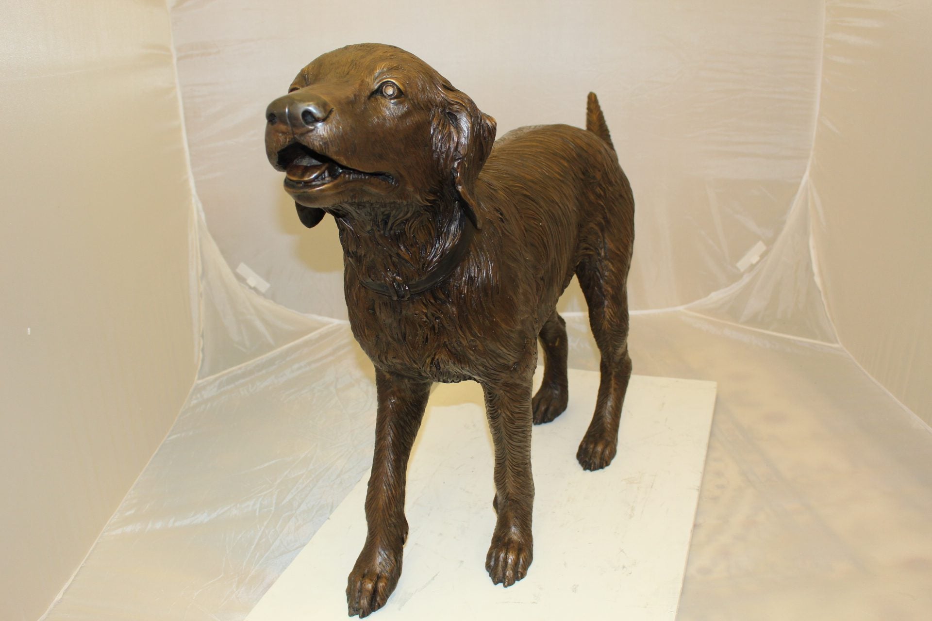Golden retriever dog standing - Bronze Statue -  Size: 44"L x 10"W x 27"H. 