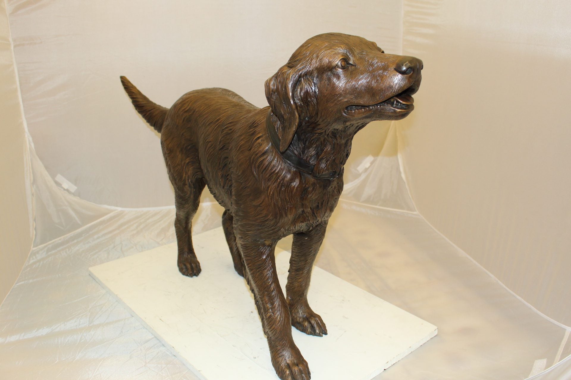 Golden retriever dog standing - Bronze Statue -  Size: 44"L x 10"W x 27"H. 