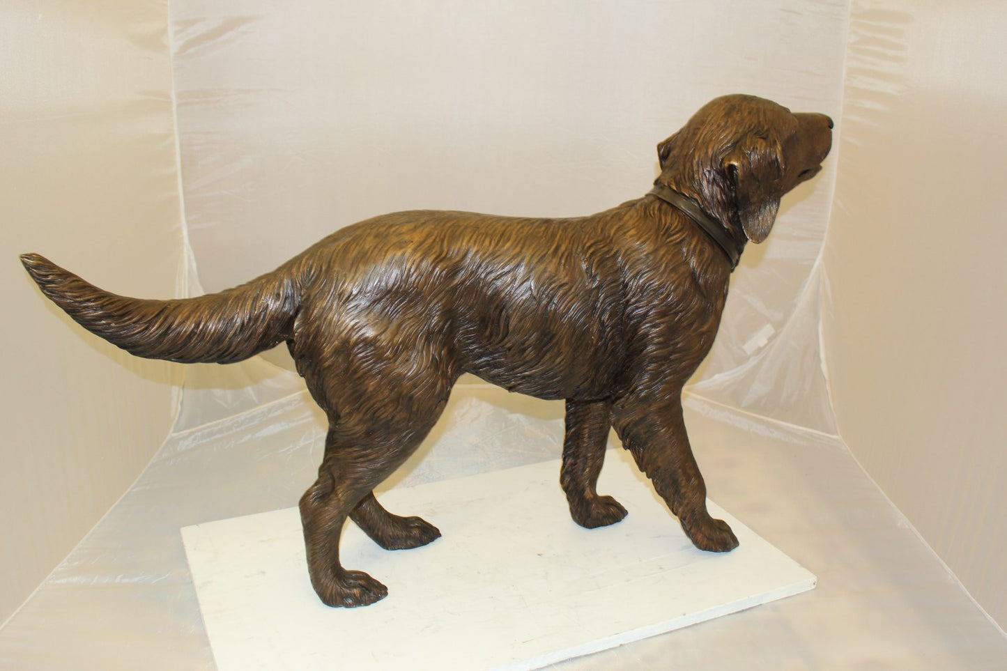 Golden retriever dog standing - Bronze Statue -  Size: 44"L x 10"W x 27"H. 