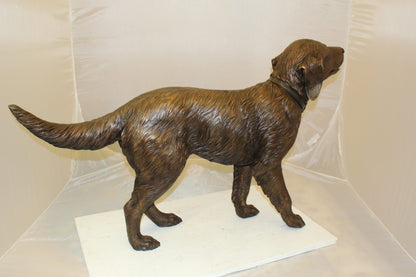 Golden retriever dog standing - Bronze Statue -  Size: 44"L x 10"W x 27"H. 