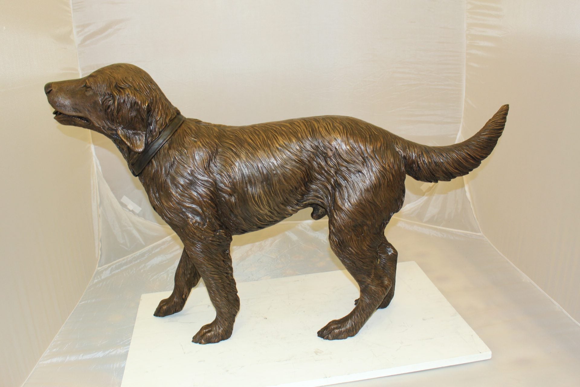 Golden retriever dog standing - Bronze Statue -  Size: 44"L x 10"W x 27"H. 