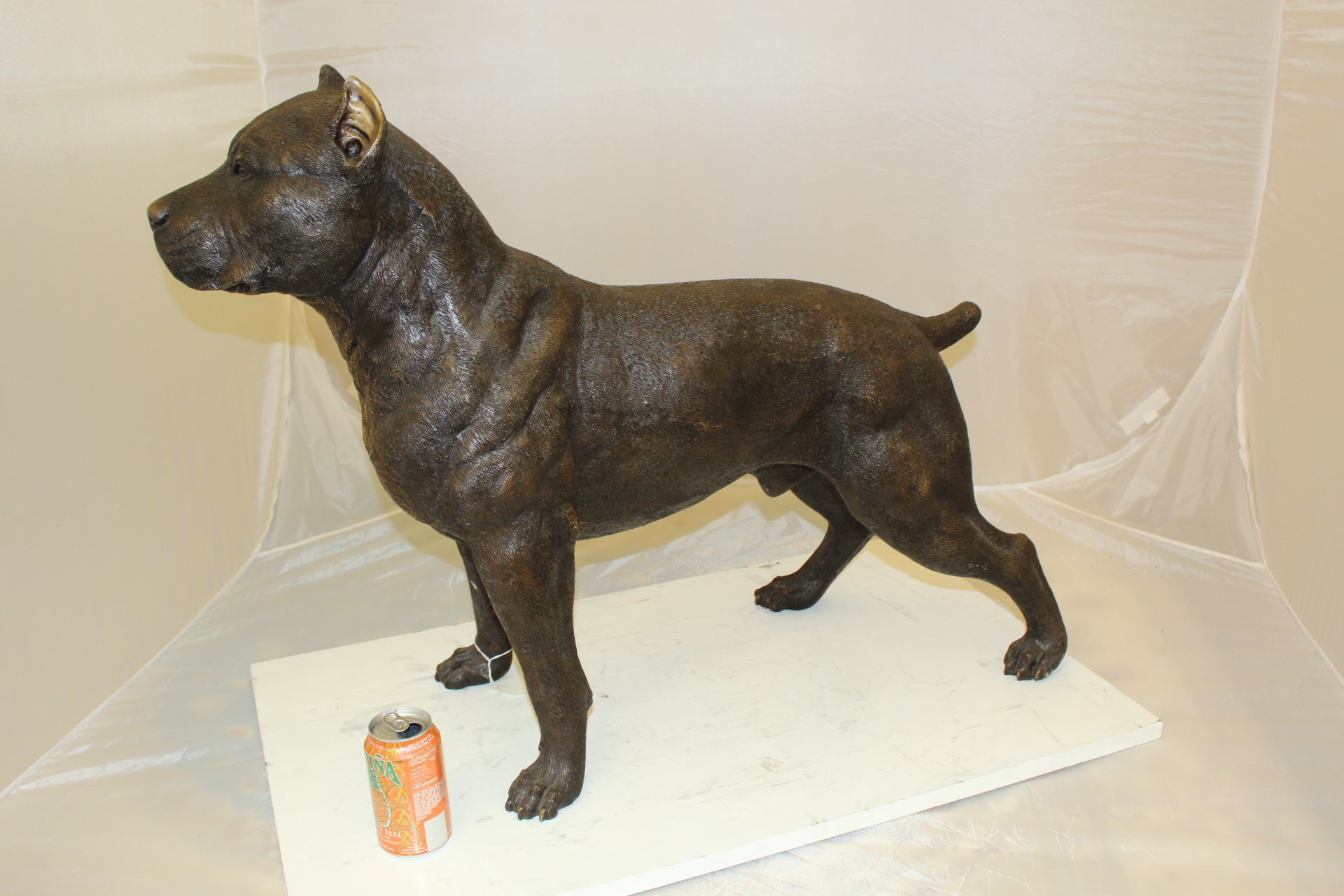 Pit Bull Dog Bronze Statue -  Size: 33"L x 11"W x 26"H. 