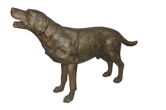 Labrador Retriever Bronze Statue -  Size: 12"L x 50"W x 31"H. 