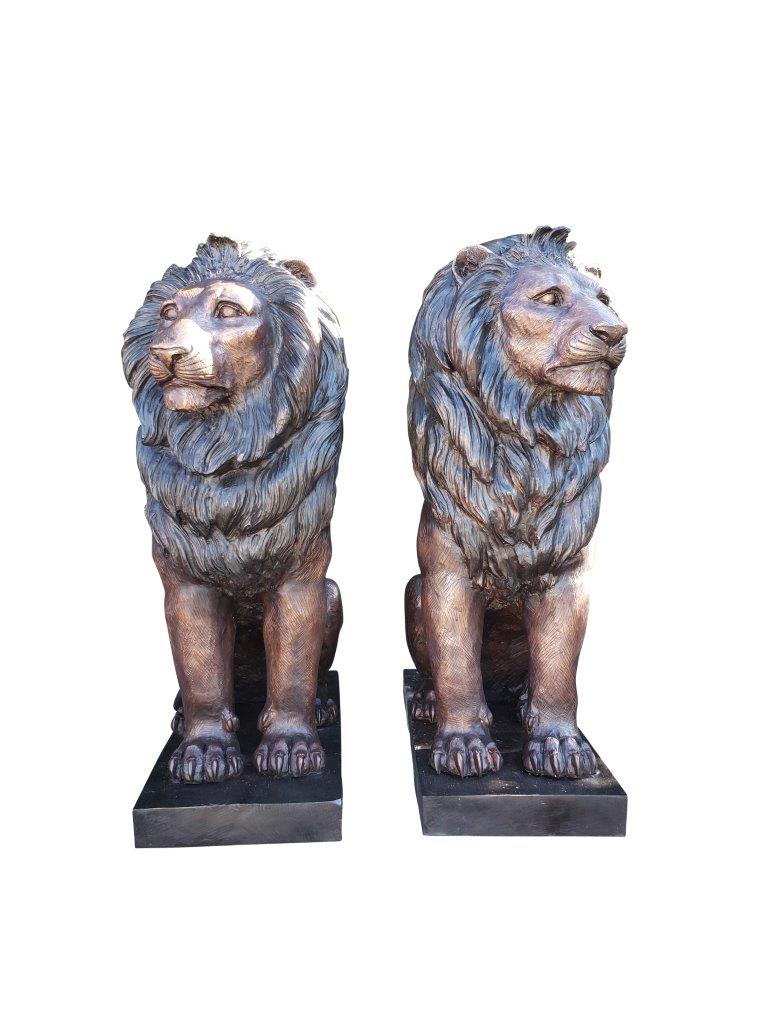 Pair of Life-size lions bronze statues -  Size: 17"L x 35"W x 47"H.
