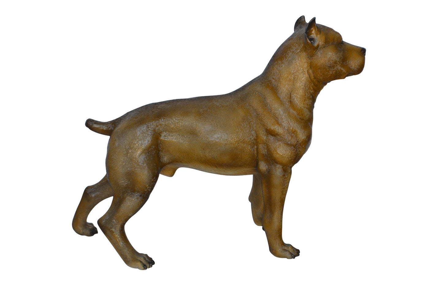 Pitbull Dog Colored Bronze Statue -  Size: 33"L x 10"W x 26"H.