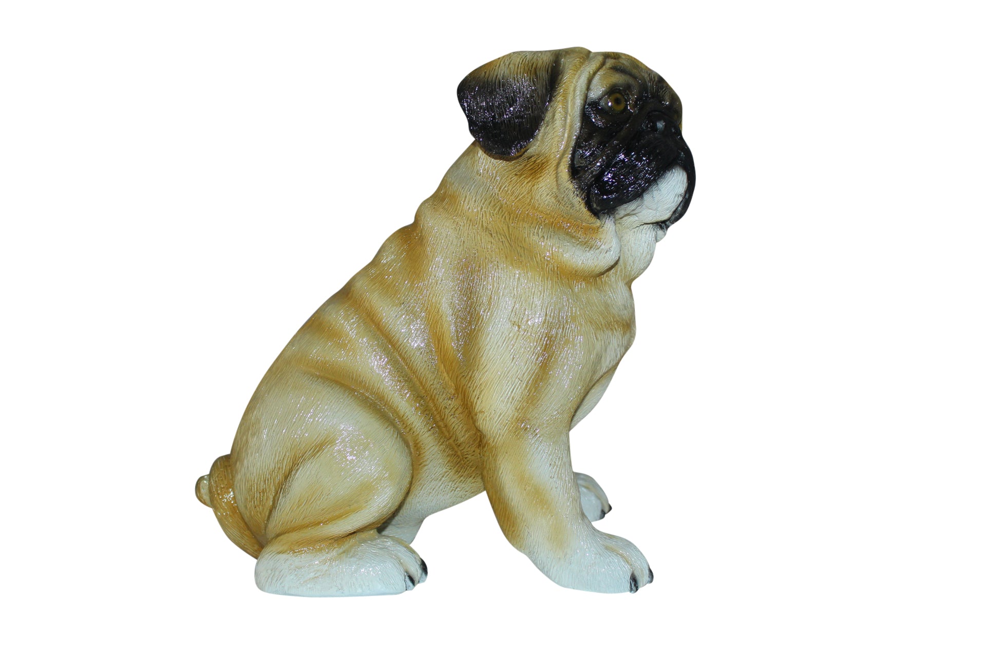 Pug Dog Bronze Statue -  Size: 12"L x 6"W x 11"H. 