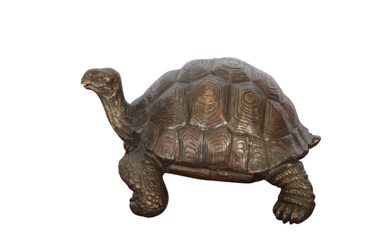 Turtle Bronze Statue -  Size: 8"L x 12"W x 7"H.