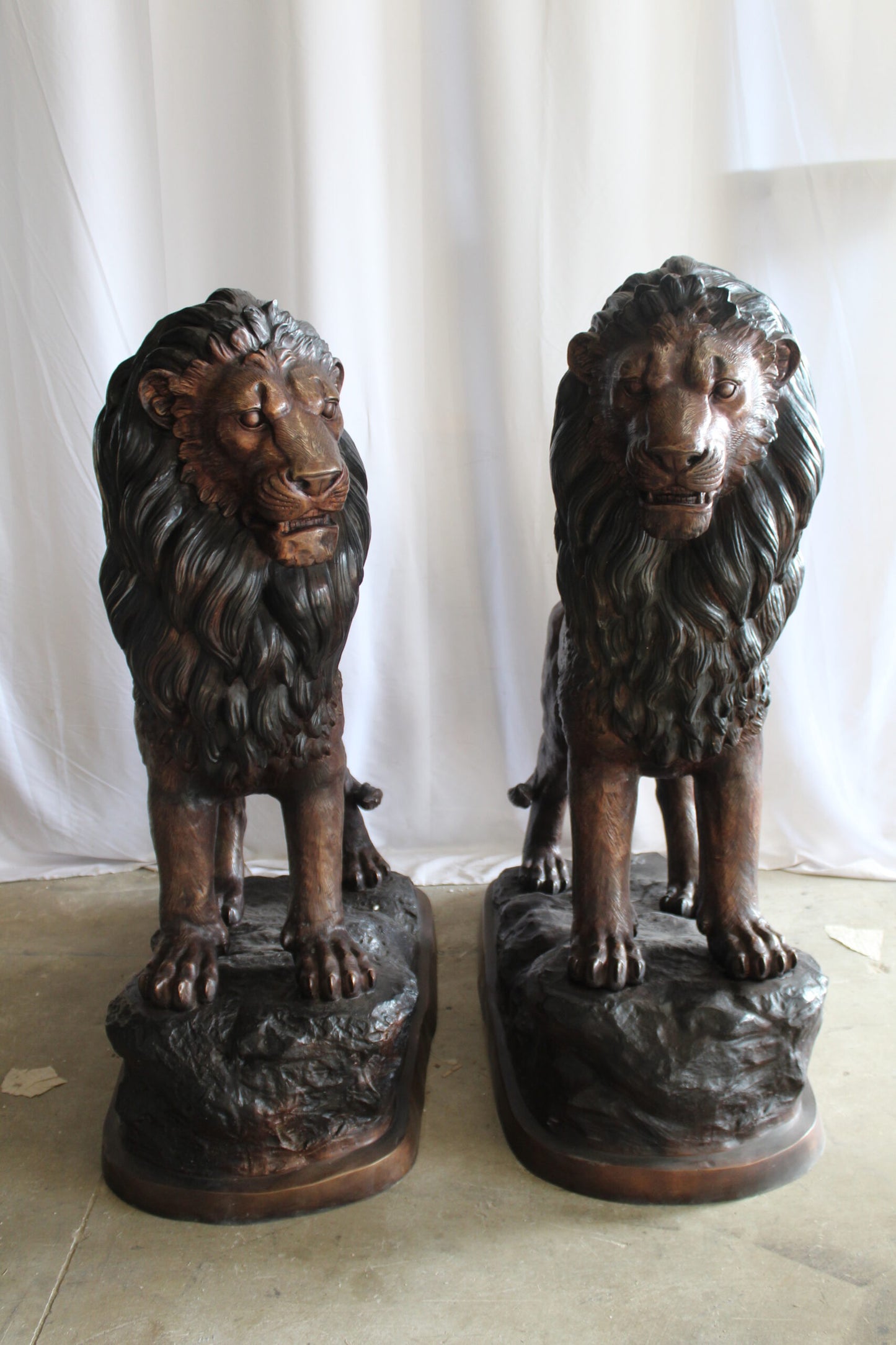 Lifesized Pair of Lions Bronze Statues 58" x 30" x 62"H