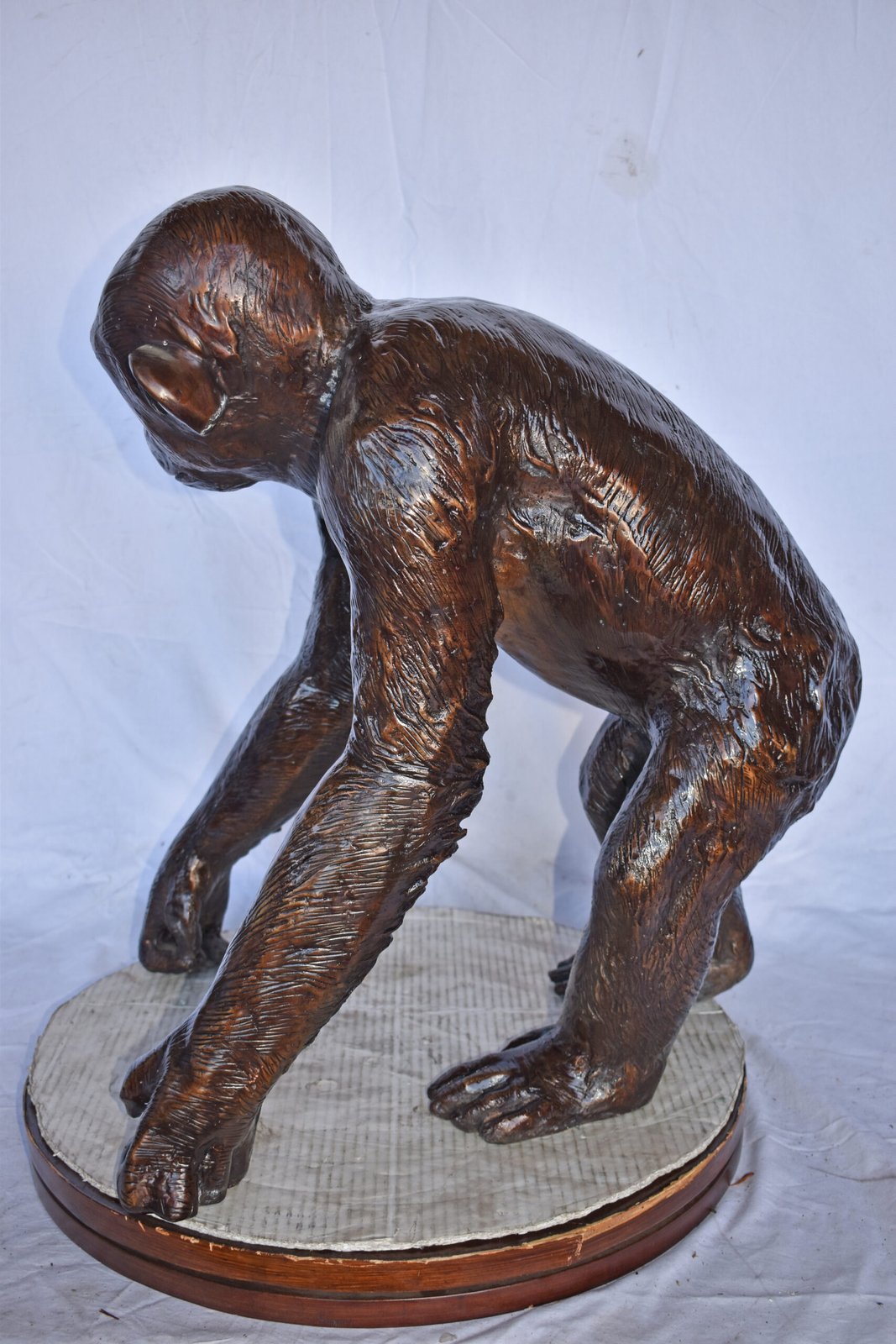 Chimpanzee Standing and Looking around Bronze Statue - Size: 24" x 20" x 28"H