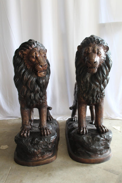 Lifesized Pair of Lions Bronze Statues 58" x 30" x 62"H