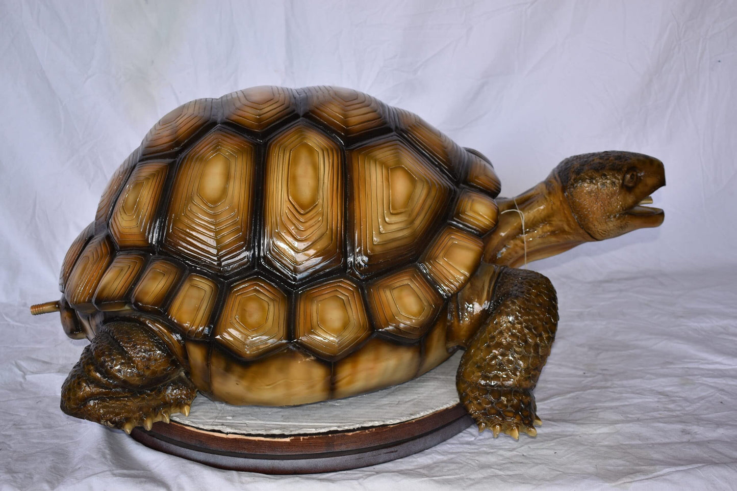 Giant Tortoise Turtle Fountain Light Brown Finish Bronze Statue  24"x 38" x 16"H