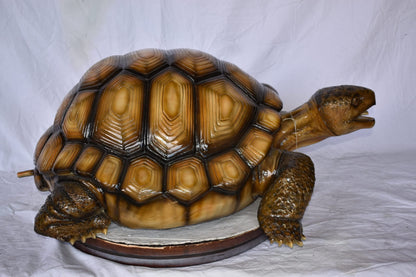 Giant Tortoise Turtle Fountain Light Brown Finish Bronze Statue  24"x 38" x 16"H