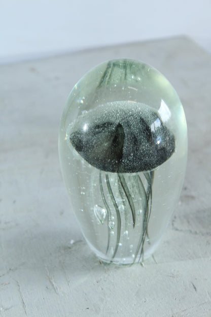 NIFAO Glass Jellyfish Paperweight Clear Black Ocean Art Decor 4" x 4" x 7"H