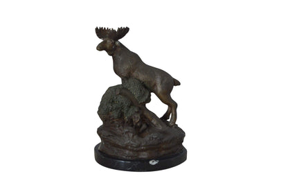 Moose on a rock bronze statue - Size: 9"L x 7"W x 14"H.