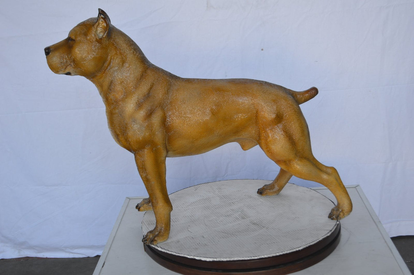 Pitbull Dog Colored Bronze Statue -  Size: 33"L x 10"W x 26"H.