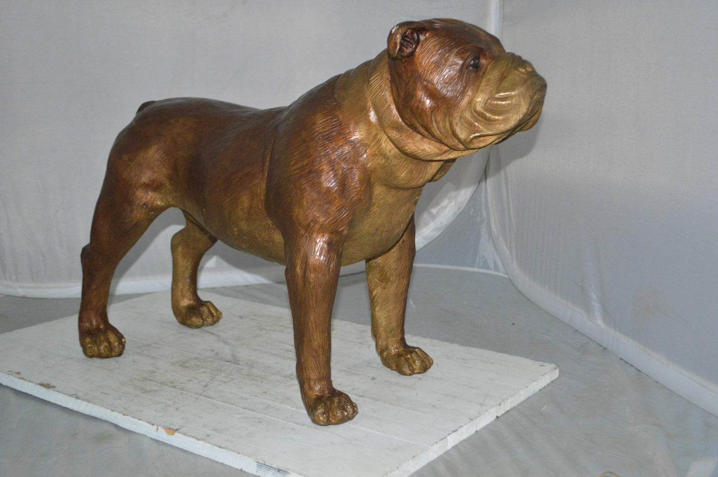 Bulldog Medium Bronze Statue -  Size: 29"L x 11"W x 20"H.