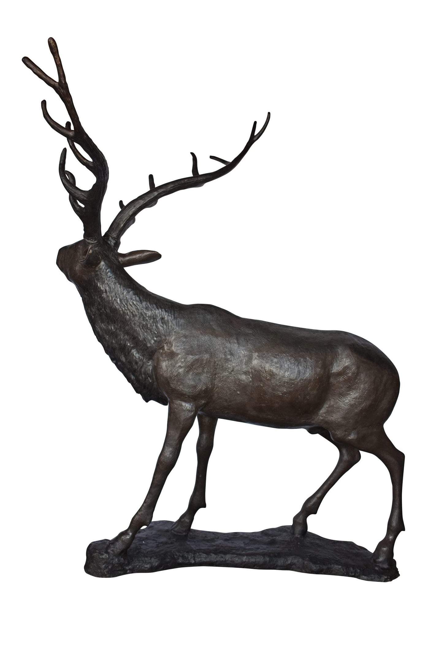 Lifesize And Incredibly Detailed Reindeer Bronze Statue Size: 75" x 50" x 85"H