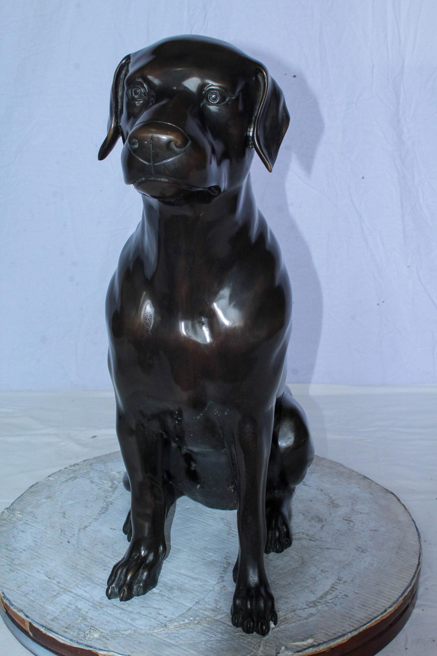 Large Bronze Chocolate Labrador Dog Statue Sitting Pose 22" x 12" x 27"H