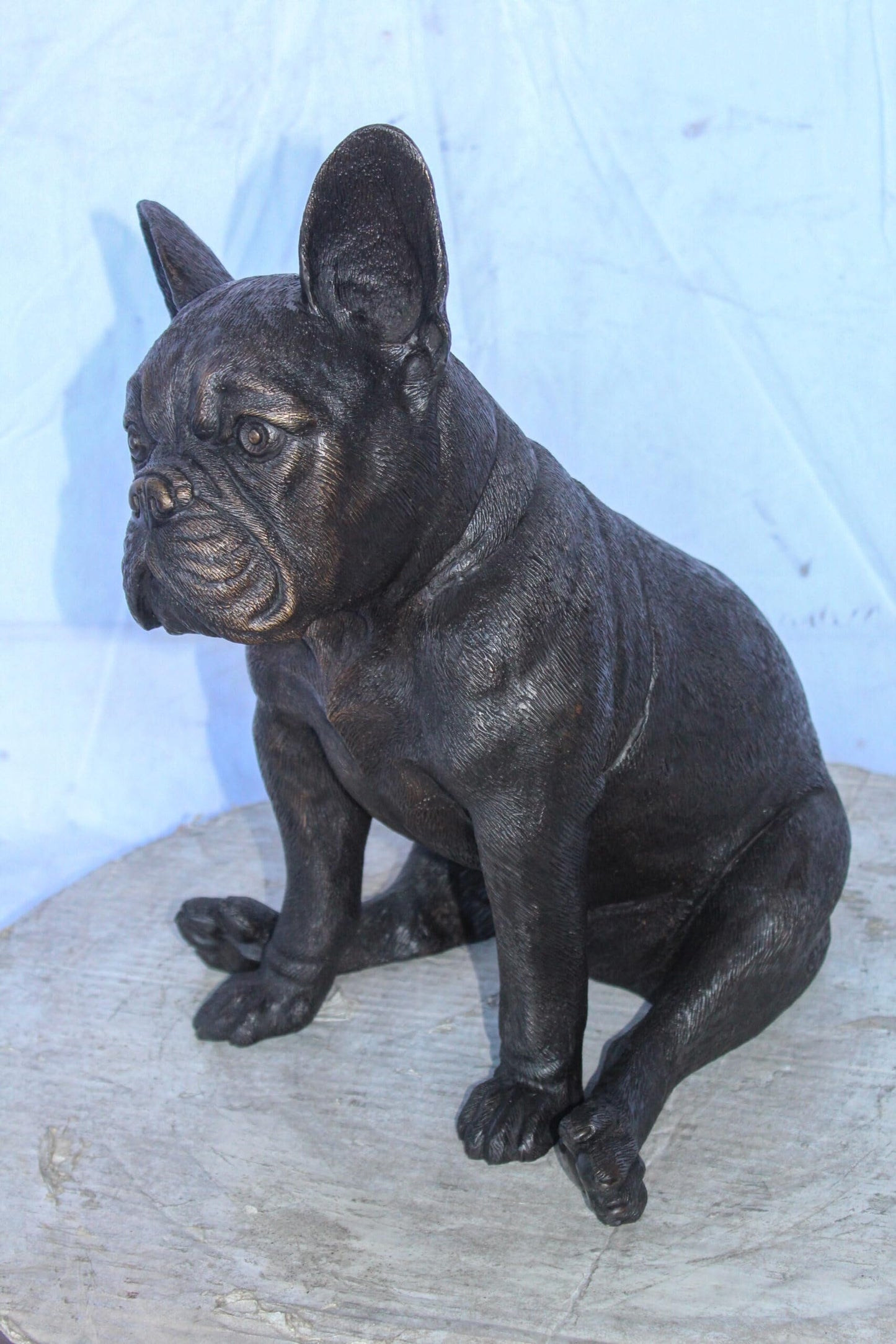 Bronze Statue of French Bulldog Sitting, Elegant Canine Decor 12" x 12" x 17"H