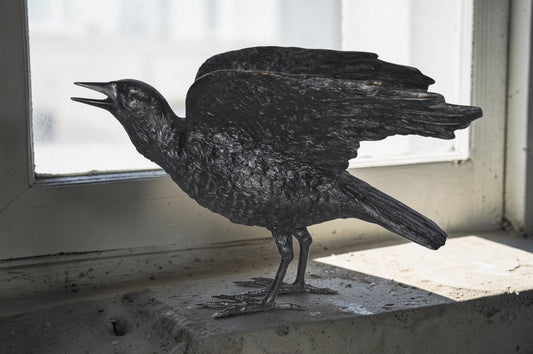 Raven with Open Wings Bronze Statue - Size: 16"L x 25"W x 15"H.