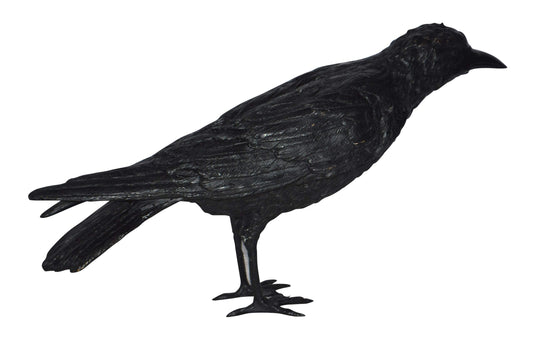 Raven with his head up Bronze Statue - Size: 23"L x 6"W x 13"H.