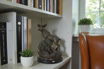 Moose on a rock bronze statue - Size: 9"L x 7"W x 14"H.