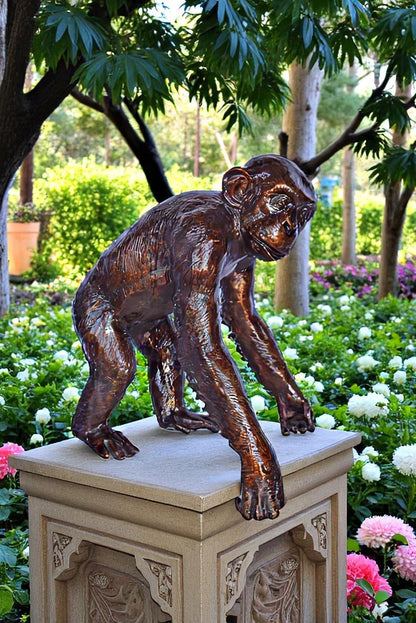 Chimpanzee Standing and Looking around Bronze Statue - Size: 24" x 20" x 28"H