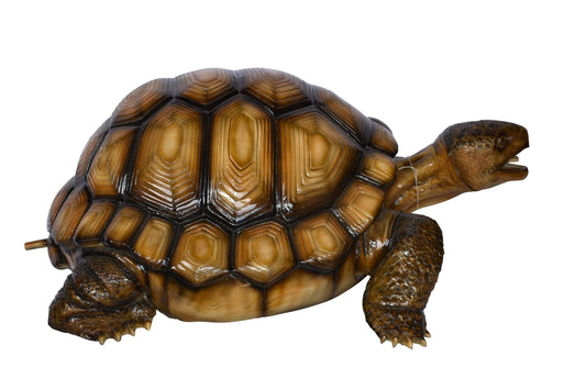 Giant Tortoise Turtle Fountain Light Brown Finish Bronze Statue  24"x 38" x 16"H