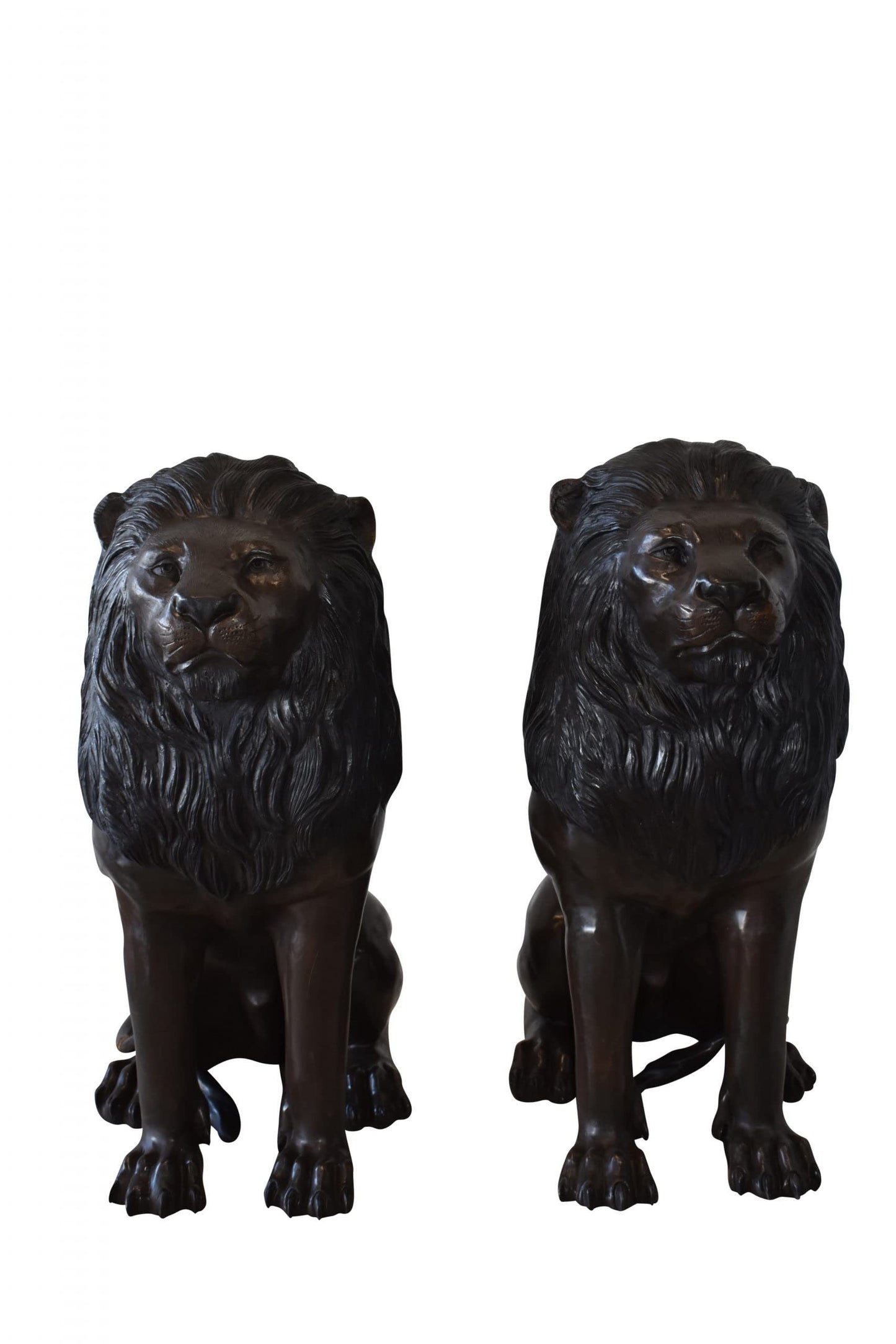 A Pair of Large Lions Sitting Side by Side Bronze Statues Size: 23" x 33" x 46"H