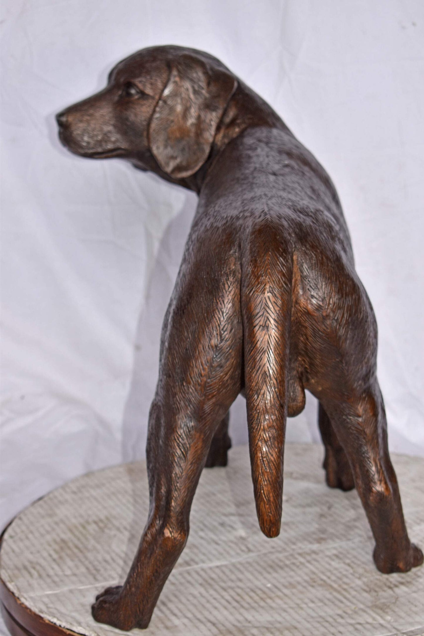 Beagle Dog Standing Made of Bronze, Statue - Size: 27"L x 14"W x 21"H.