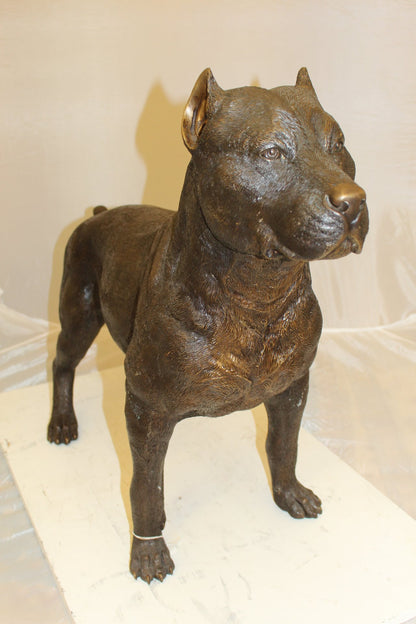 Standing Pitbull Dog Bronze Sculpture Statue Figurine 33"x11"x26"H