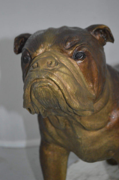 Bulldog Medium Bronze Statue -  Size: 29"L x 11"W x 20"H.