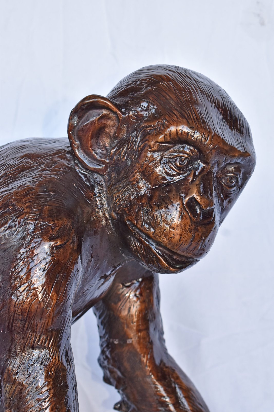 Chimpanzee Standing and Looking around Bronze Statue - Size: 24" x 20" x 28"H
