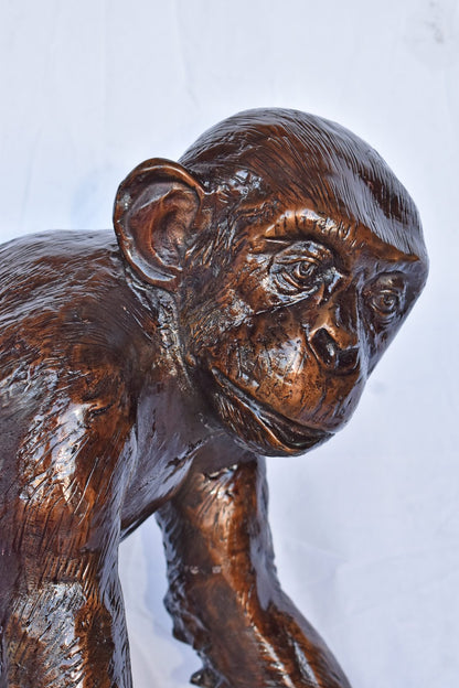 Chimpanzee Standing and Looking around Bronze Statue - Size: 24" x 20" x 28"H
