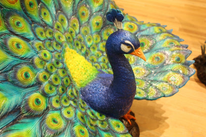 Colorful Peacock Bronze Statue -  Size: 24"L x 39"W x 35"H.