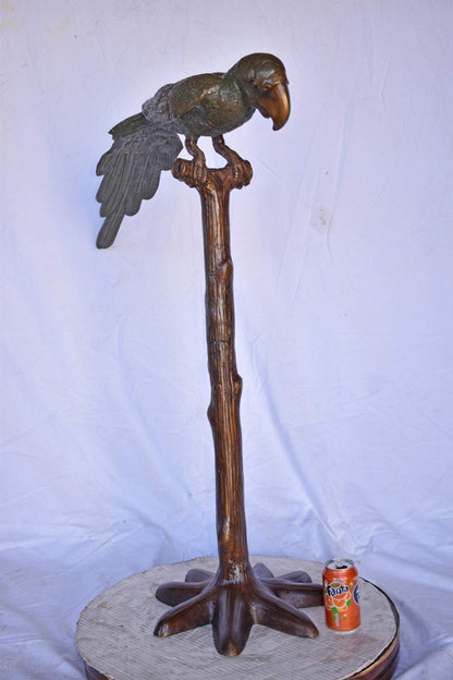 Parrot on a Tree Watching Forward Bronze Statue - Size: 36"L x 15"W x 41"H.