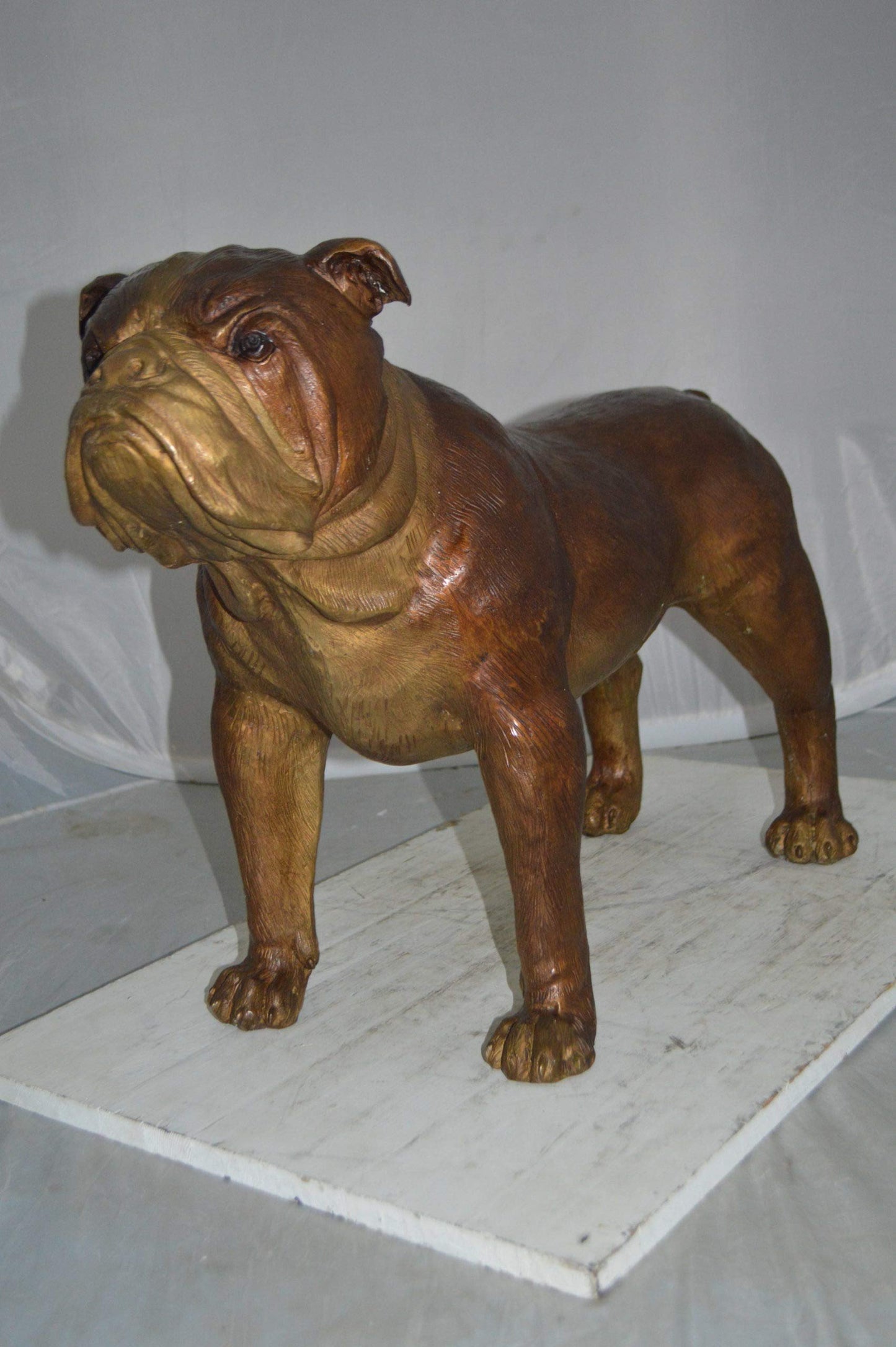 Bulldog Medium Bronze Statue -  Size: 29"L x 11"W x 20"H.