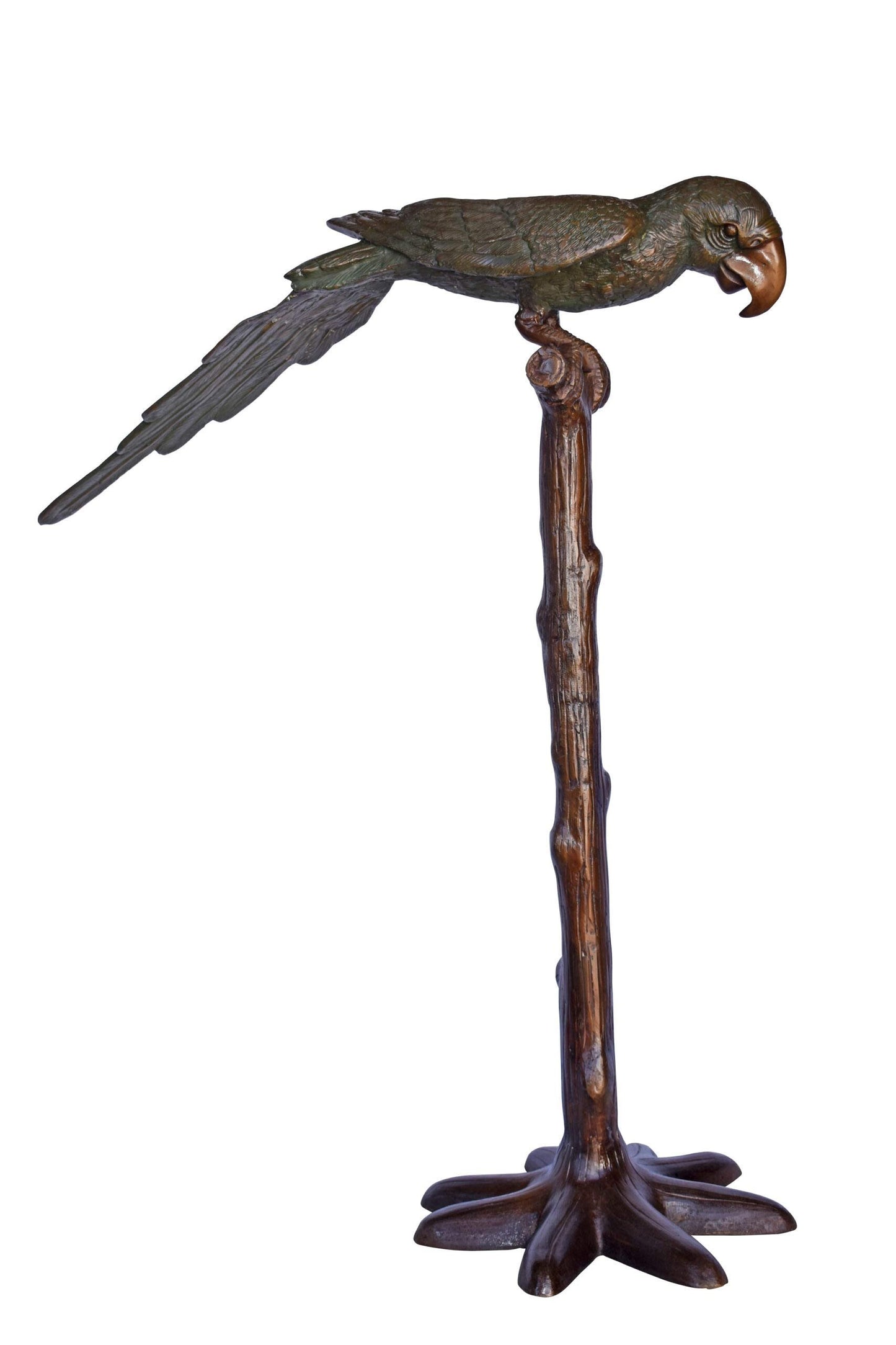 Parrot on a Tree Watching Forward Bronze Statue - Size: 36"L x 15"W x 41"H.