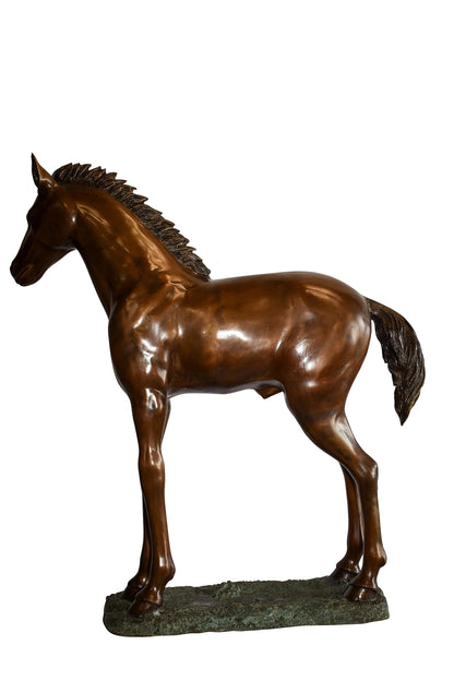 Standing Pony Made of Bronze Statue 47" x 12" x 48"H