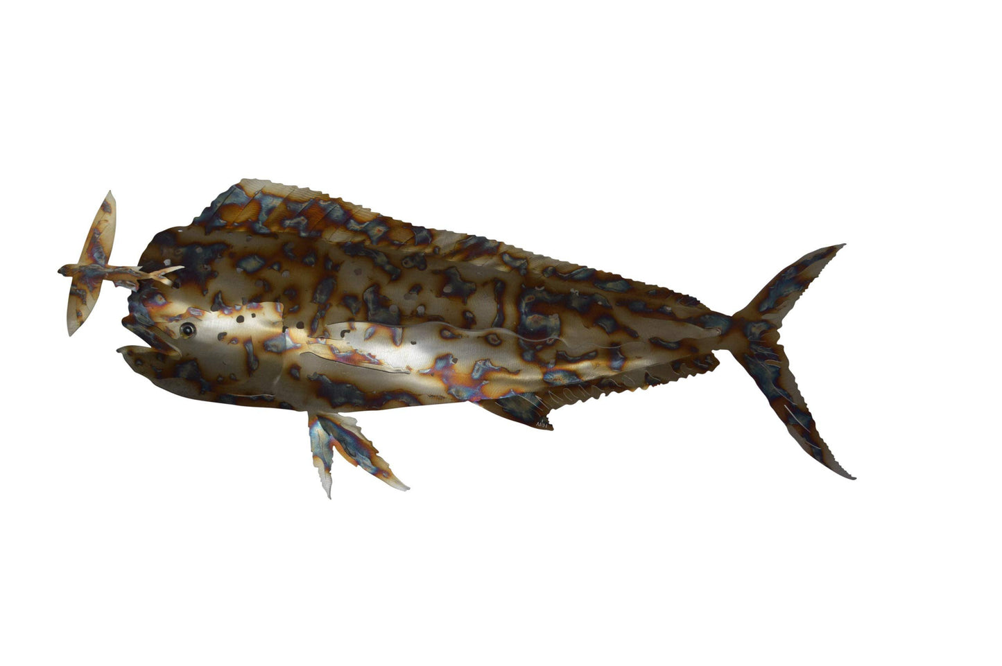Mahi Mahi catching flying fish made of cut steel - Size: 39"L x 2"W x 12"H.