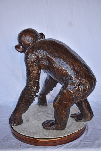 Chimpanzee Standing and Looking around Bronze Statue - Size: 24" x 20" x 28"H