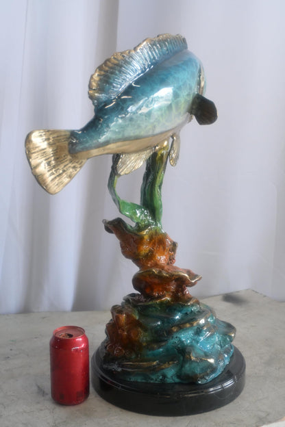 Bronze Bass Fish Sculpture on Coral Reef and Marble Base 18"x10"x26"H