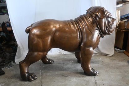 Giant Bronze English Bulldog Statue Studded Collar Decor 80"x35"x54"H