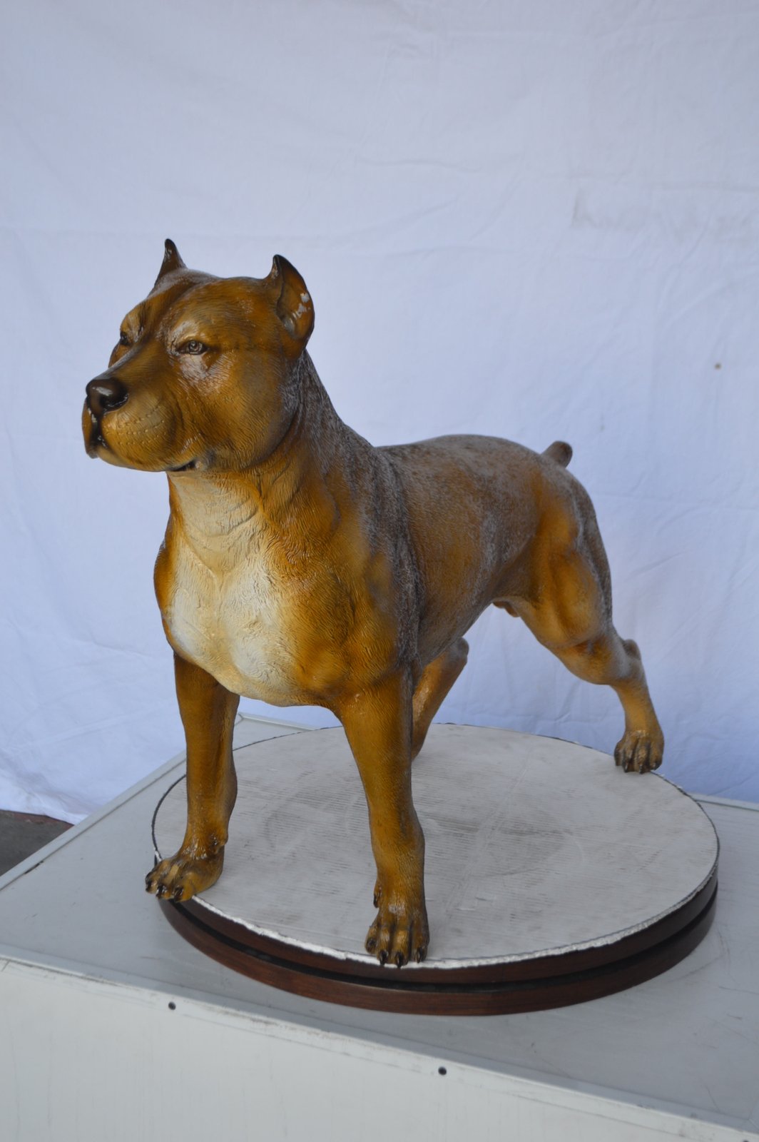 Pitbull Dog Colored Bronze Statue -  Size: 33"L x 10"W x 26"H.