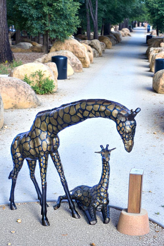 Life Size Bronze Giraffes Statues, One Laying, One Standing 77" x 21" x 58"H