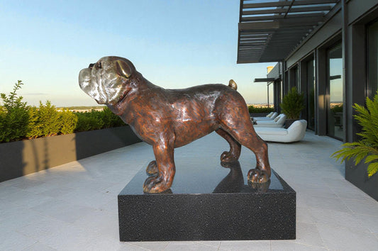 Bulldog Medium Bronze Statue -  Size: 39"L x 23"W x 27"H.
