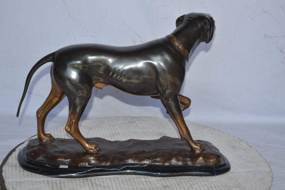 Black Labrador Bronze Statue Mounted on A Marble - Size: 20"L x 8"W x 14"H.