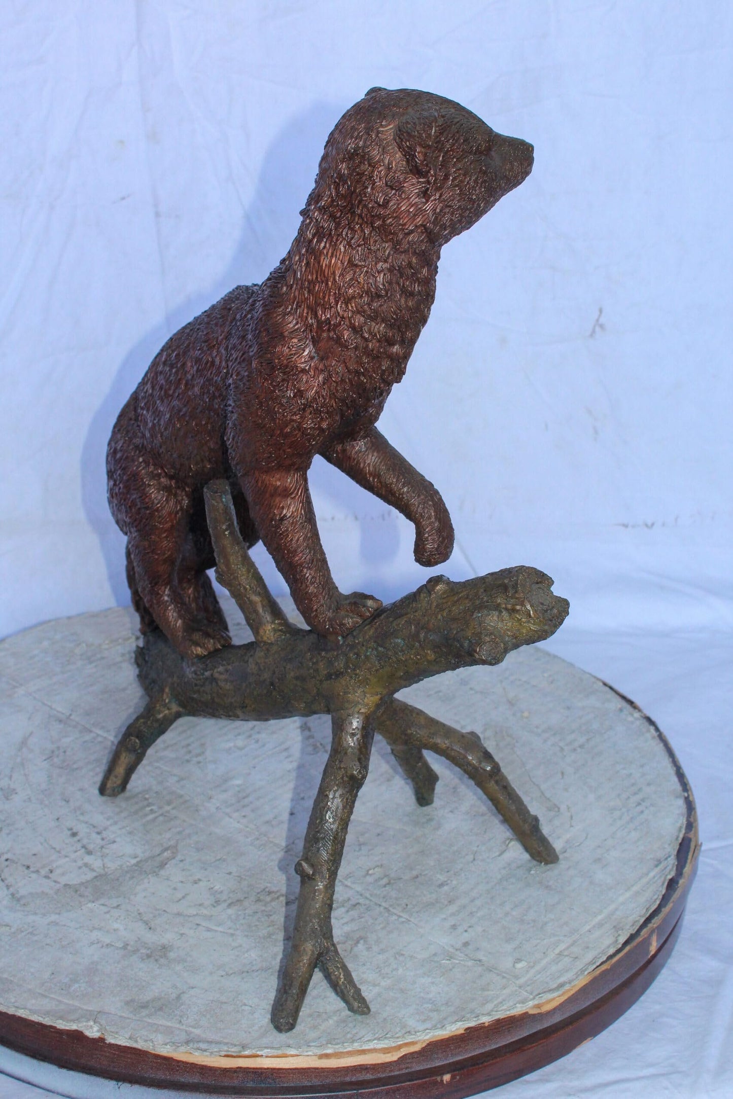 Bronze Statue of a Mongoose Climbing a Tree Branch 24" x 12" x 20"H