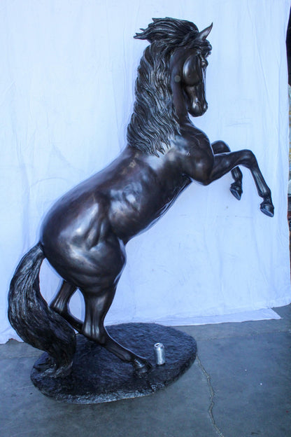Quarter Horse Rearing, Life Size Bronze Statue, Equestrian Art 72" x 34" x 83"H